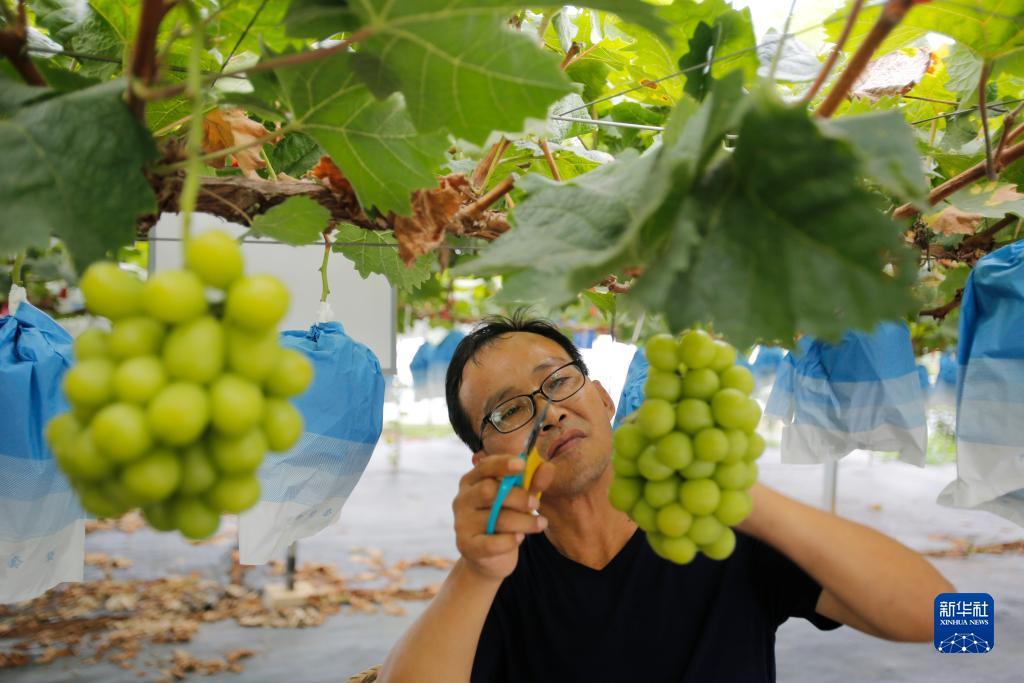 葡京游戏网址